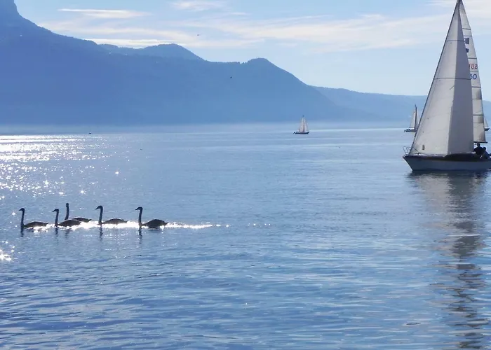 Element-terre 招待所