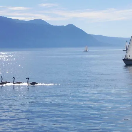 Element-terre Pensjonat